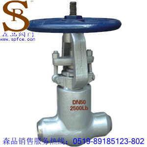 Z61Y型對焊式自緊密封閘閥、美標(biāo)鍛鋼閘閥SPZ61Y